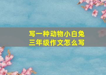 写一种动物小白兔三年级作文怎么写