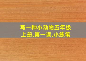 写一种小动物五年级上册,第一课,小练笔