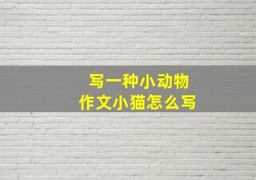 写一种小动物作文小猫怎么写