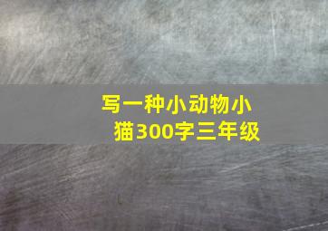 写一种小动物小猫300字三年级