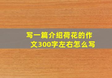 写一篇介绍荷花的作文300字左右怎么写