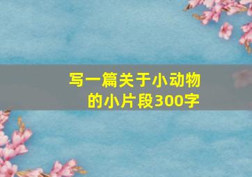 写一篇关于小动物的小片段300字