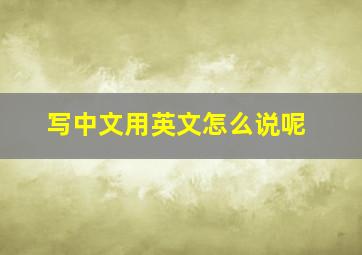 写中文用英文怎么说呢