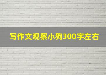 写作文观察小狗300字左右