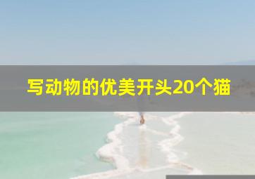 写动物的优美开头20个猫