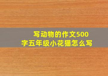 写动物的作文500字五年级小花猫怎么写