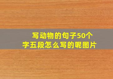 写动物的句子50个字五段怎么写的呢图片