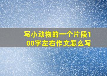 写小动物的一个片段100字左右作文怎么写