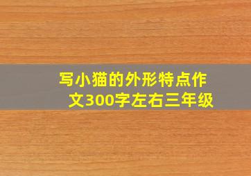 写小猫的外形特点作文300字左右三年级