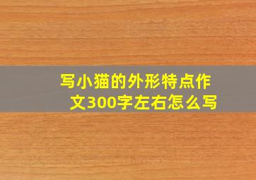 写小猫的外形特点作文300字左右怎么写