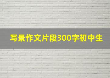 写景作文片段300字初中生