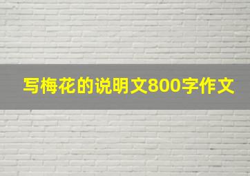 写梅花的说明文800字作文