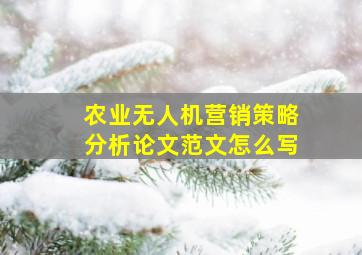 农业无人机营销策略分析论文范文怎么写