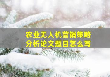 农业无人机营销策略分析论文题目怎么写