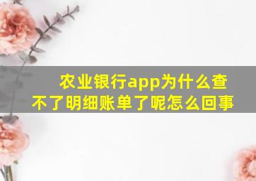 农业银行app为什么查不了明细账单了呢怎么回事