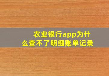 农业银行app为什么查不了明细账单记录