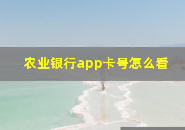 农业银行app卡号怎么看