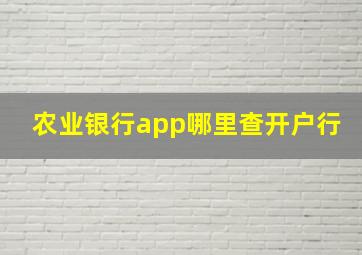 农业银行app哪里查开户行