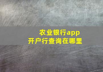 农业银行app开户行查询在哪里