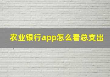 农业银行app怎么看总支出