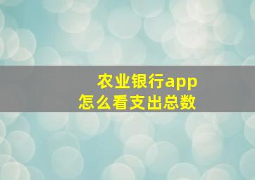 农业银行app怎么看支出总数