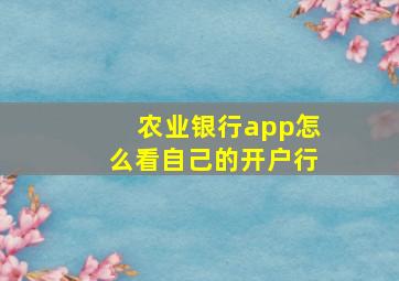 农业银行app怎么看自己的开户行