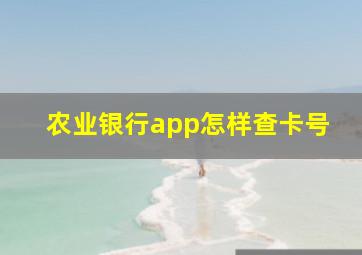 农业银行app怎样查卡号