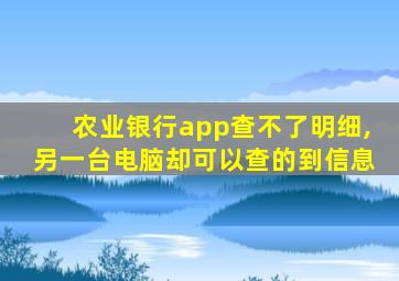 农业银行app查不了明细,另一台电脑却可以查的到信息