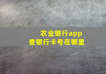 农业银行app查银行卡号在哪里