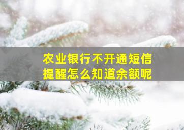 农业银行不开通短信提醒怎么知道余额呢