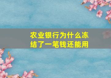 农业银行为什么冻结了一笔钱还能用