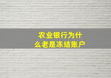 农业银行为什么老是冻结账户