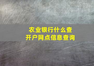 农业银行什么查开户网点信息查询