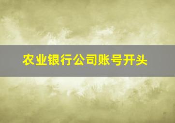 农业银行公司账号开头