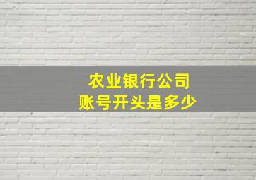 农业银行公司账号开头是多少