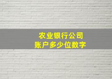 农业银行公司账户多少位数字