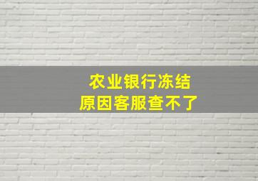 农业银行冻结原因客服查不了