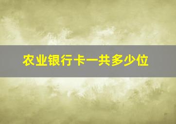 农业银行卡一共多少位