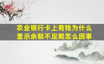 农业银行卡上有钱为什么显示余额不足呢怎么回事