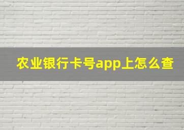 农业银行卡号app上怎么查