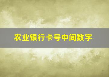 农业银行卡号中间数字