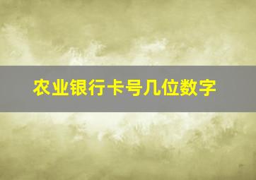 农业银行卡号几位数字