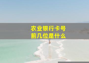 农业银行卡号前几位是什么