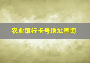 农业银行卡号地址查询