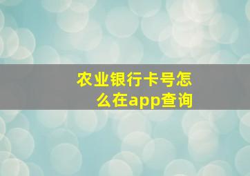 农业银行卡号怎么在app查询