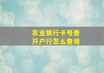 农业银行卡号查开户行怎么查询