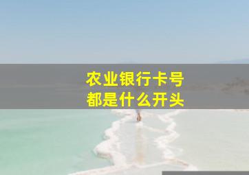 农业银行卡号都是什么开头