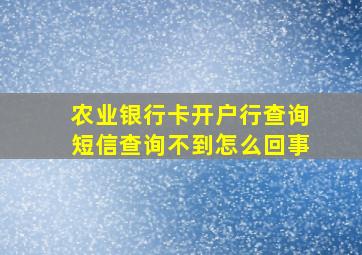 农业银行卡开户行查询短信查询不到怎么回事