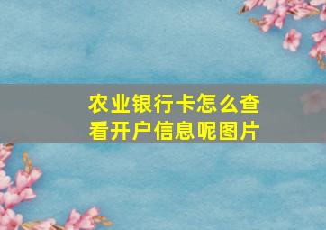 农业银行卡怎么查看开户信息呢图片