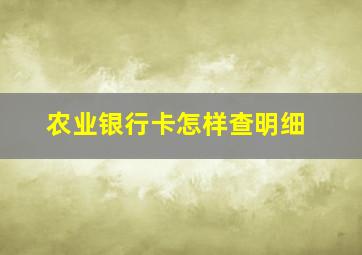 农业银行卡怎样查明细